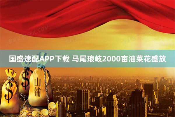 国盛速配APP下载 马尾琅岐2000亩油菜花盛放