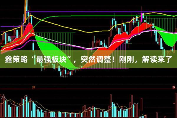 鑫策略 “最强板块”，突然调整！刚刚，解读来了