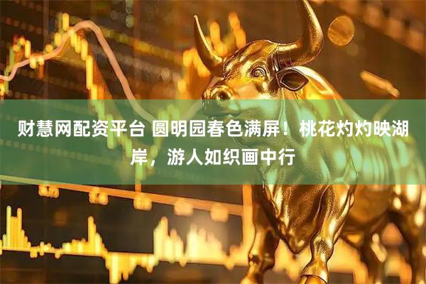 财慧网配资平台 圆明园春色满屏！桃花灼灼映湖岸，游人如织画中行