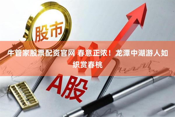 牛管家股票配资官网 春意正浓！龙潭中湖游人如织赏春桃