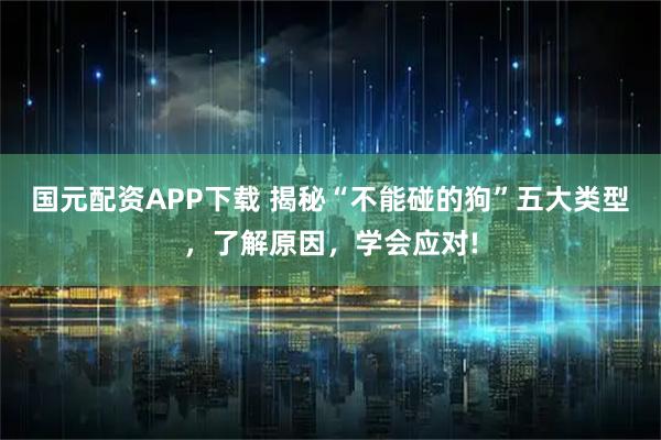 国元配资APP下载 揭秘“不能碰的狗”五大类型，了解原因，学会应对!