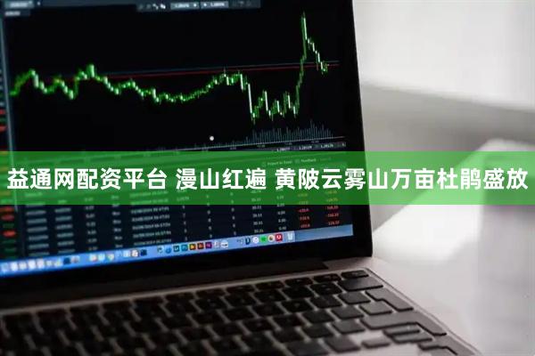 益通网配资平台 漫山红遍 黄陂云雾山万亩杜鹃盛放
