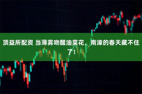 顶益所配资 当薄雾吻醒油菜花，南漳的春天藏不住了！