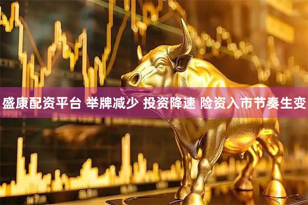 盛康配资平台 举牌减少 投资降速 险资入市节奏生变